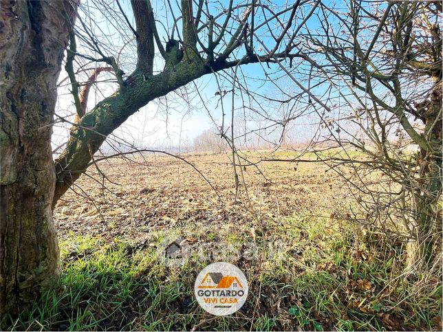 Terreno agricolo in commerciale in Via Talponera