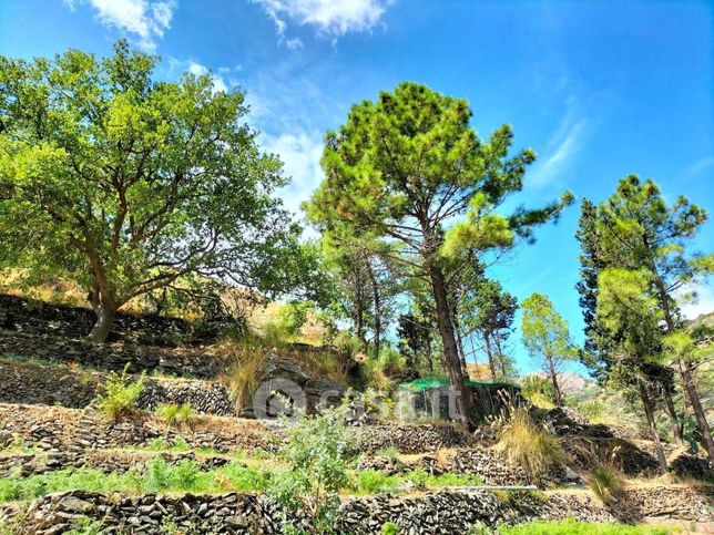 Terreno agricolo in commerciale in 