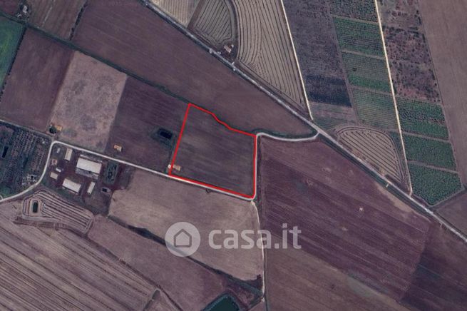 Terreno agricolo in commerciale in Strada Galerno