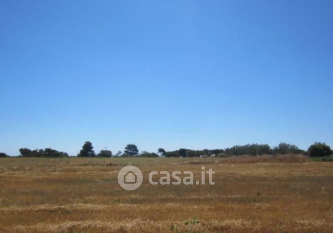 Terreno agricolo in commerciale in Via dei Delfini