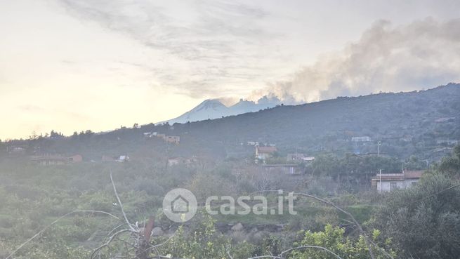 Terreno agricolo in commerciale in Via Scorciavacca Montarsi