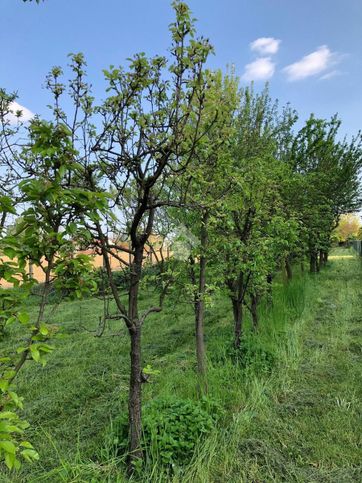 Terreno agricolo in commerciale in Via Giovanni Falcone