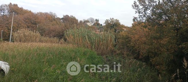 Terreno agricolo in commerciale in Via Diaz 33