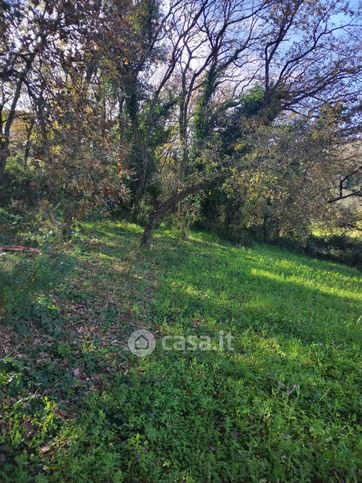 Terreno agricolo in commerciale in Contrada Costantino
