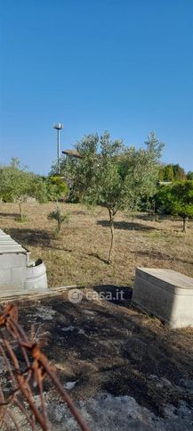 Terreno agricolo in commerciale in 