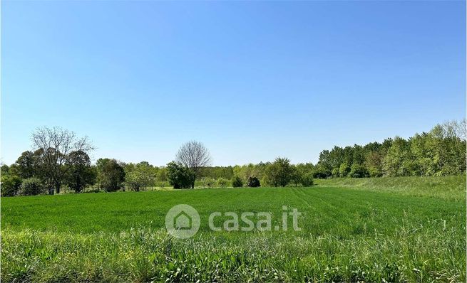 Terreno agricolo in commerciale in Via Roma 1 B