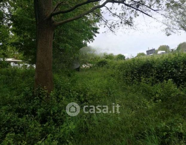 Terreno agricolo in commerciale in Via Terraglio