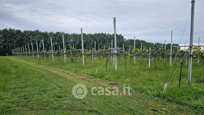 Terreno agricolo in commerciale in Via Ospedale Provinciale