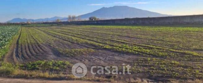 Terreno agricolo in commerciale in Contrada Candelara