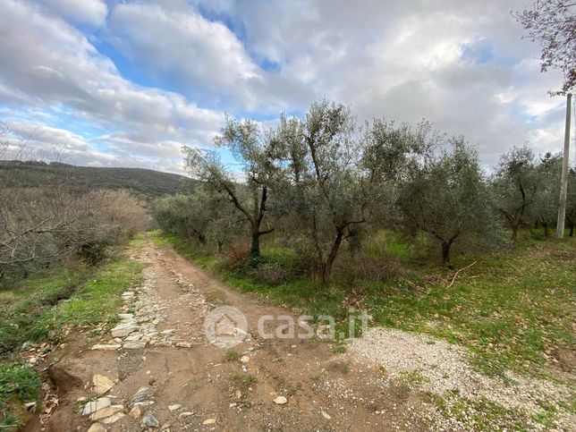 Terreno agricolo in commerciale in 