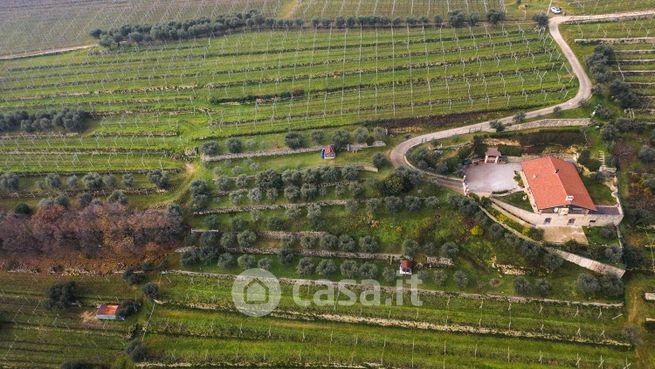 Terreno agricolo in commerciale in Via Colle Masua