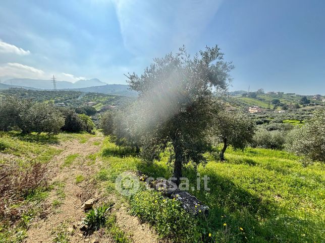 Terreno agricolo in commerciale in Contrada Porcara 45