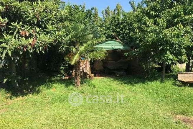 Terreno agricolo in commerciale in Via Tofane