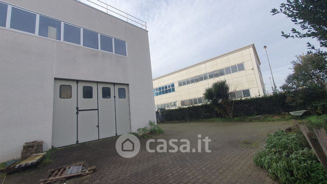 Capannone in commerciale in 