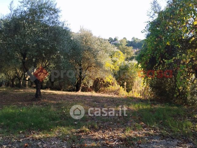 Terreno agricolo in commerciale in Via Prignano di Sopra