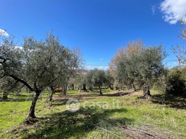 Terreno agricolo in commerciale in Via Abbadia