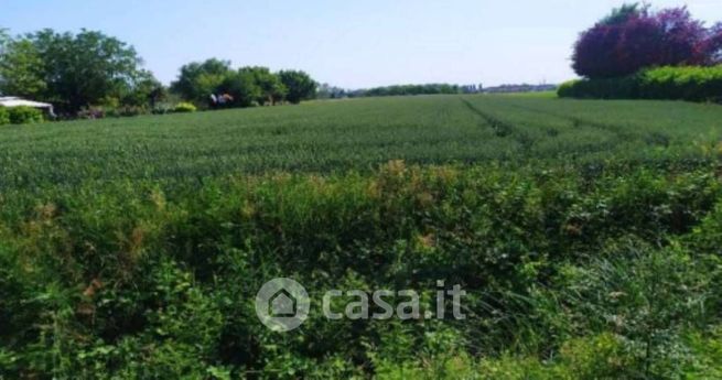 Terreno agricolo in commerciale in Strada 14 Statale della Venezia Giulia