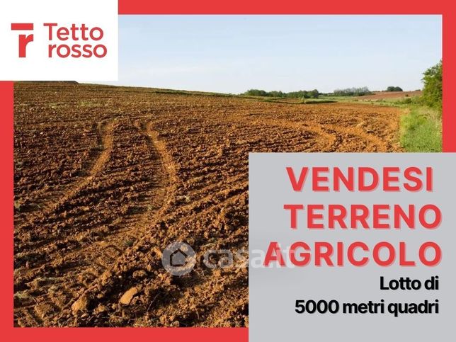 Terreno agricolo in commerciale in Via Augusta