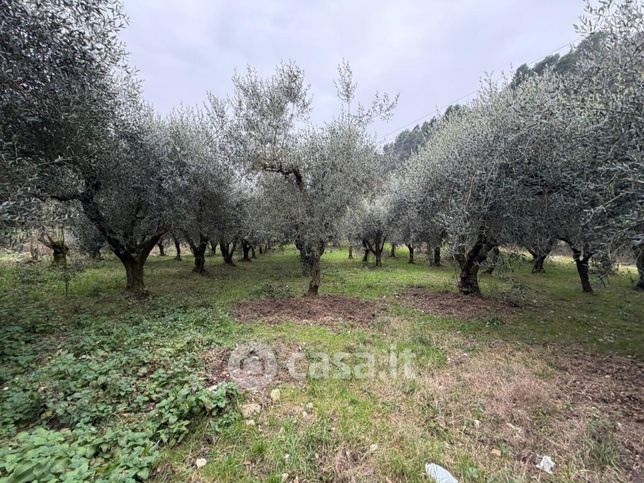 Terreno agricolo in commerciale in Strada di San Panfano