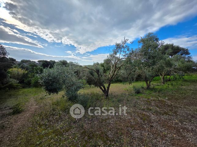 Terreno agricolo in commerciale in Strada Provinciale 105 Alghero-Bosa 33