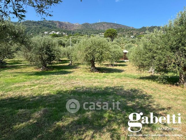 Terreno agricolo in commerciale in Contrada Acquasanta