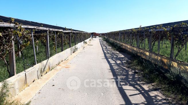 Terreno agricolo in commerciale in 