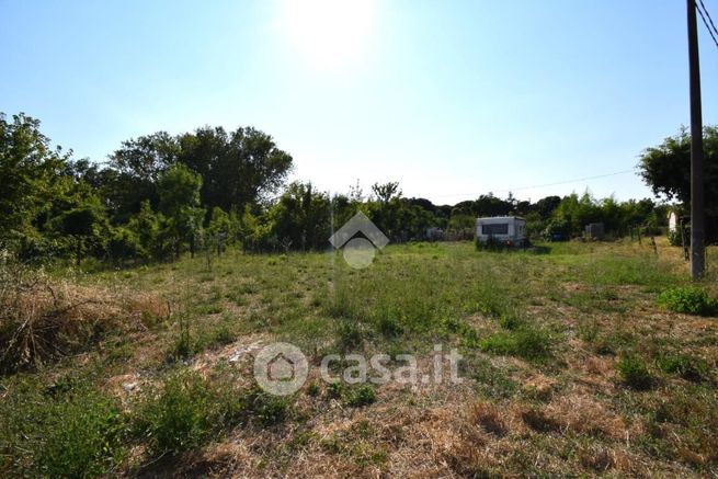 Terreno agricolo in commerciale in Viale Veneto 39