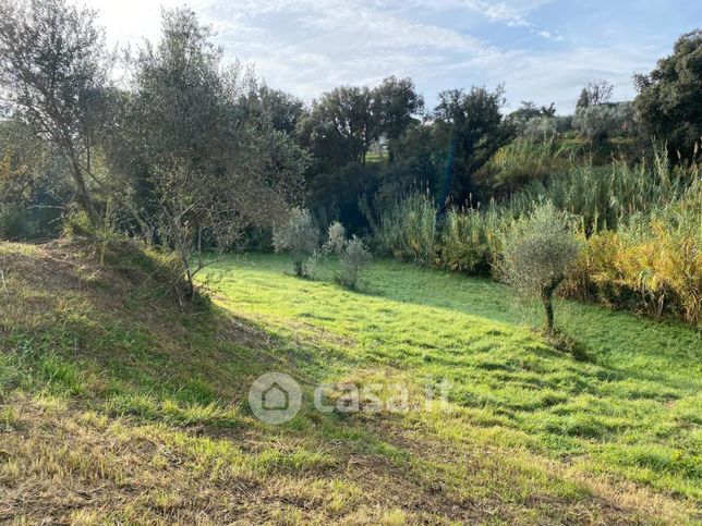 Terreno agricolo in commerciale in Strada Senza Nome