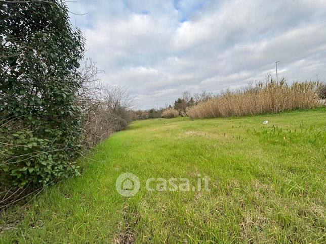 Terreno agricolo in commerciale in Borgo ai Fossi 10