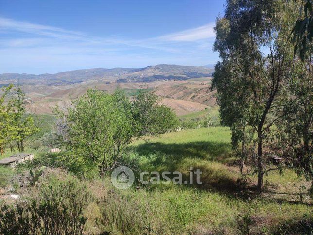 Terreno agricolo in commerciale in Strada Provinciale 44