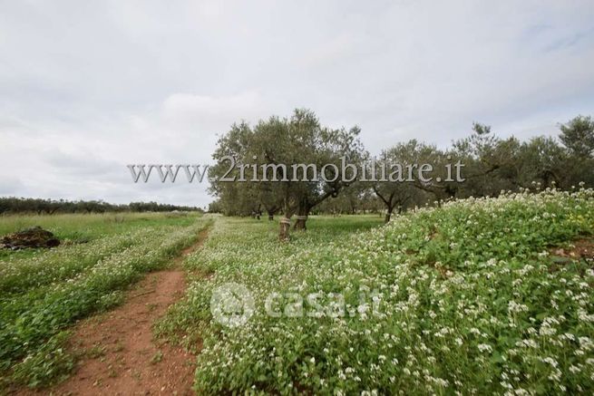Terreno agricolo in commerciale in Via Giuffo