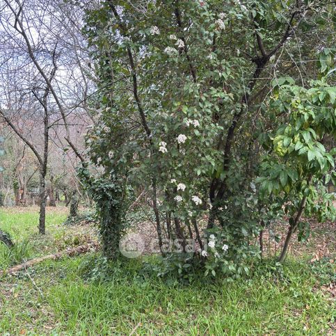 Terreno agricolo in commerciale in Via Appia Vecchia