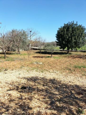 Terreno edificabile in residenziale in Strada senza nome