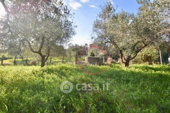 Terreno agricolo in commerciale in 