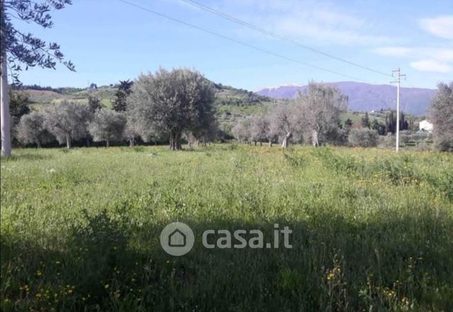 Terreno agricolo in commerciale in Frazione Marino del Tronto