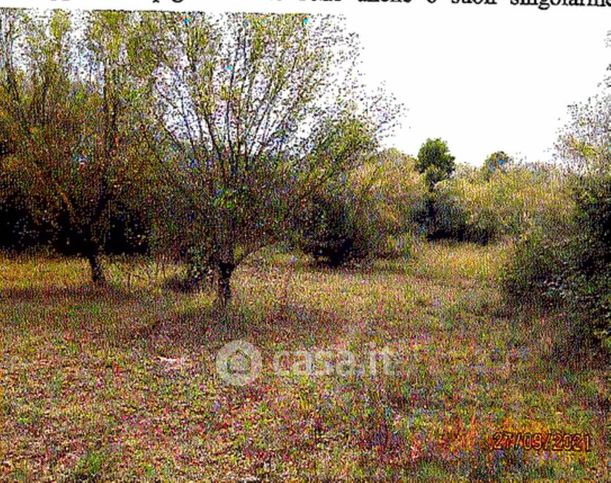 Terreno agricolo in commerciale in Via Palazzo