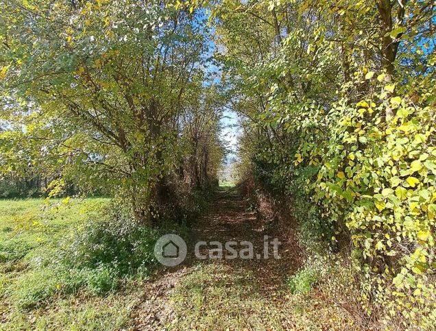 Terreno agricolo in commerciale in Via Colle Oppio