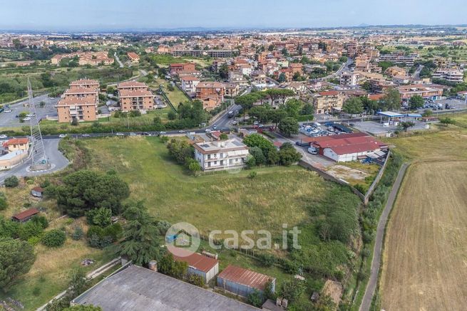 Terreno agricolo in commerciale in Via Massa di San Giuliano 270