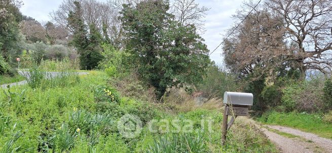 Terreno agricolo in commerciale in Località Scala Santa 5