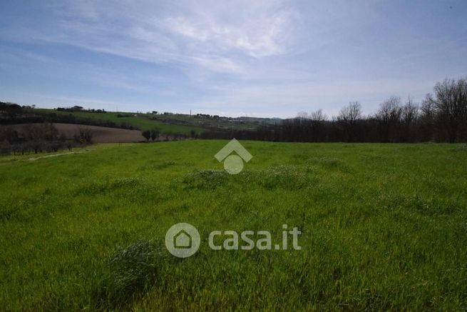 Terreno agricolo in commerciale in Viale Todi 23