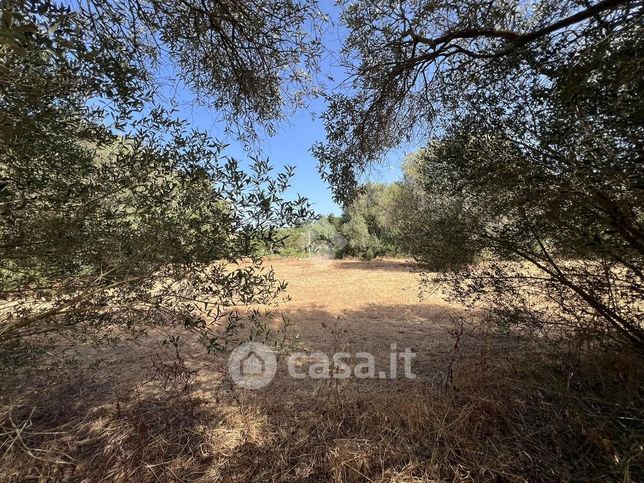 Terreno agricolo in commerciale in Via la Maddalena