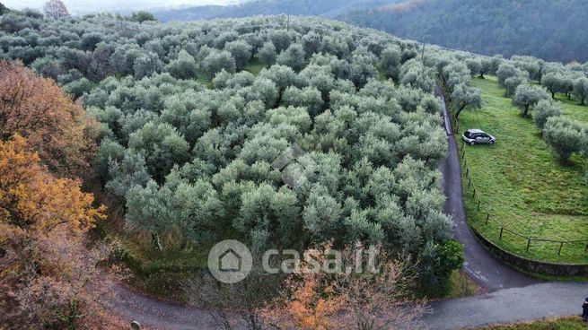 Terreno agricolo in commerciale in Via Sarripoli e Brocchi di Paolone
