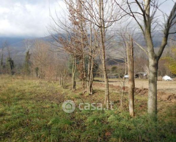 Terreno agricolo in commerciale in Via Giovanni Minzoni
