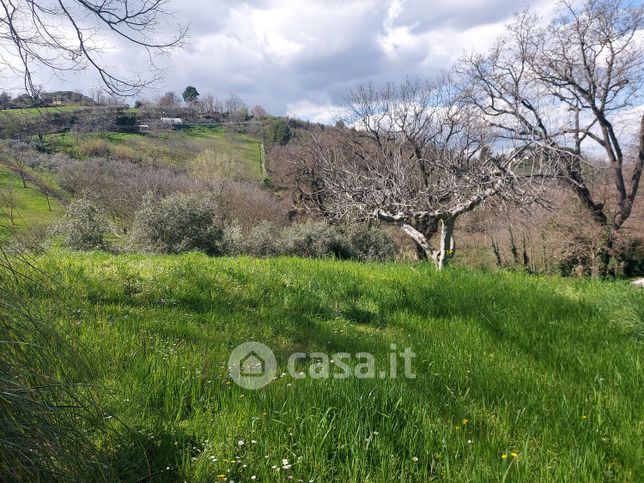 Casa bi/trifamiliare in residenziale in Strada Fosso Fogliano