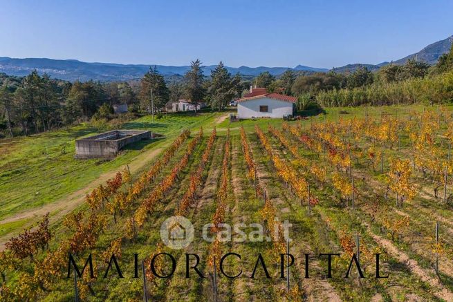 Terreno agricolo in commerciale in Strada Statale 129 Trasversale Sarda