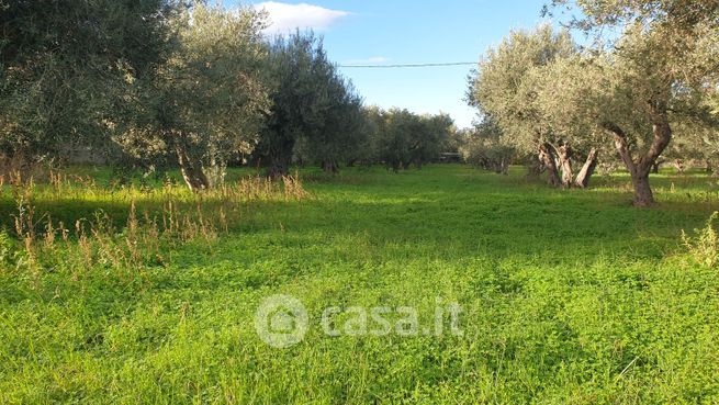 Terreno agricolo in commerciale in calamona