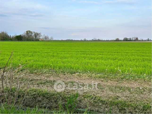 Terreno agricolo in commerciale in Via Roma 1 B