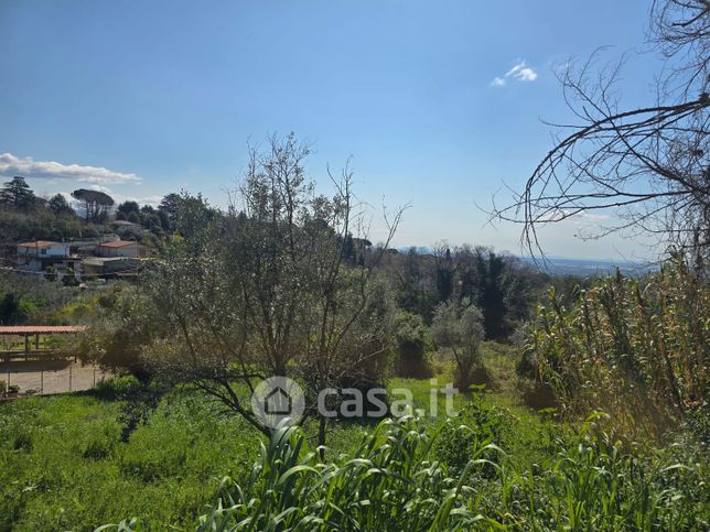 Terreno agricolo in commerciale in Via Ponte Veloce