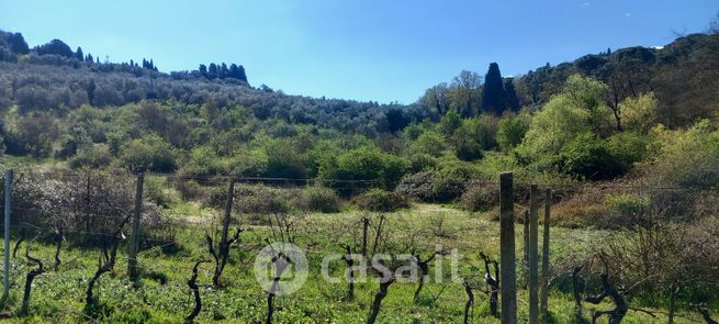 Terreno agricolo in commerciale in Via delle Selve