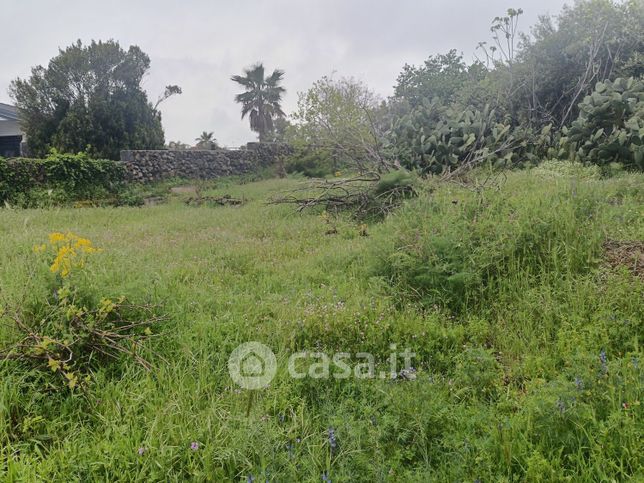 Terreno agricolo in commerciale in Via Sorbilli